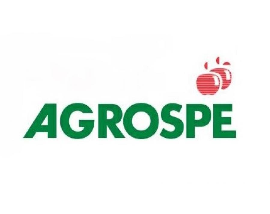 Maçã Agrospe